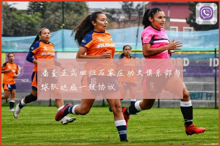 潘奎正式回归石家庄功夫俱乐部与球队达成一致协议