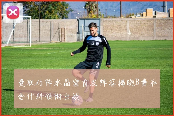 曼联对阵水晶宫首发阵容揭晓B费和舍什科领衔出战